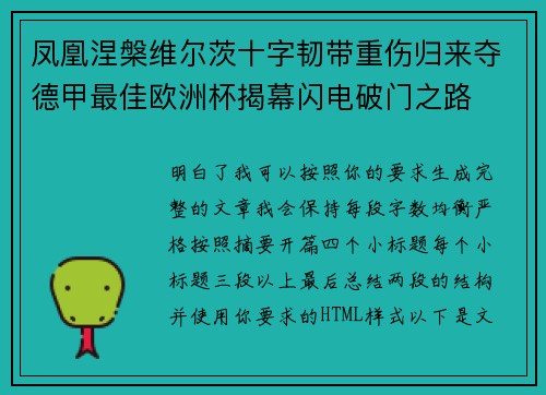 凤凰涅槃维尔茨十字韧带重伤归来夺德甲最佳欧洲杯揭幕闪电破门之路